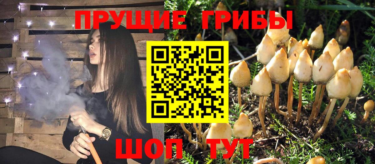 Красноуфимск  Псилоцибиновые грибы Cubensis  где купить наркоту  Вход с VPN 