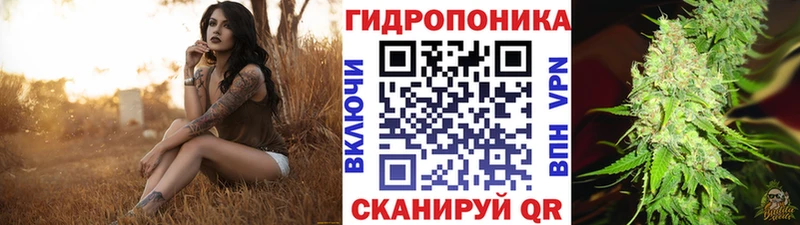 кракен как зайти  купить  сайты  Красноуфимск  Марихуана Ganja 